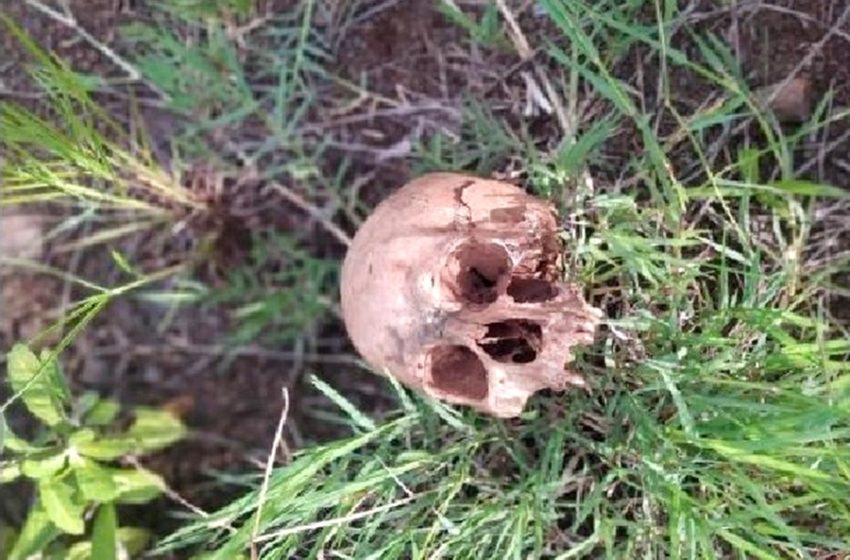  Crânio humano foi encontrado na beira de um riacho em Santa Maria do Oeste