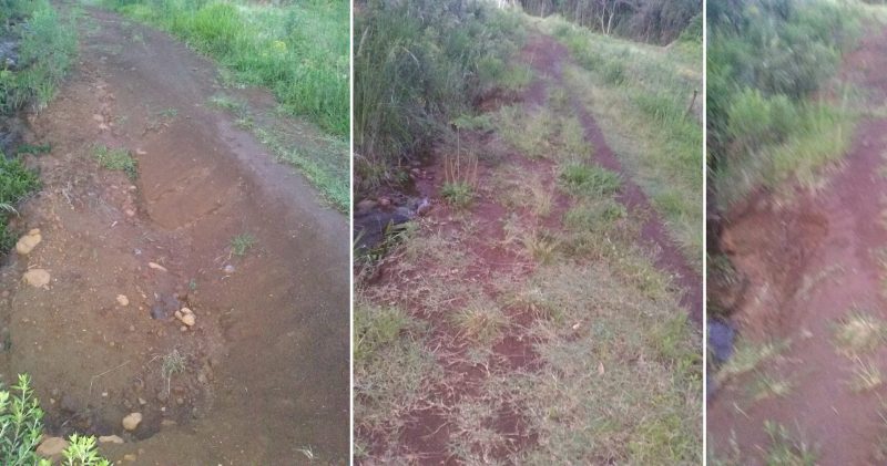 Estrada abandonada no Barreiro Grande, região da Barra Bonita, no interior de Pitanga. Moradores pedem por socorro