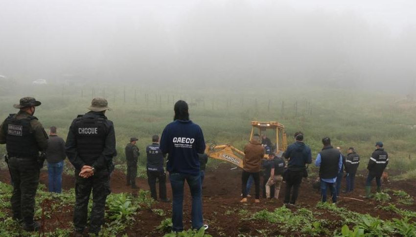 Carne de cavalo era vendida para hamburguerias de Caxias do Sul, diz MP