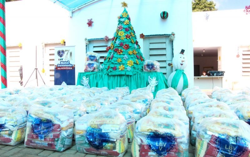  Cestas de alimentos são entregues pela LBV para 100 famílias de Palmital