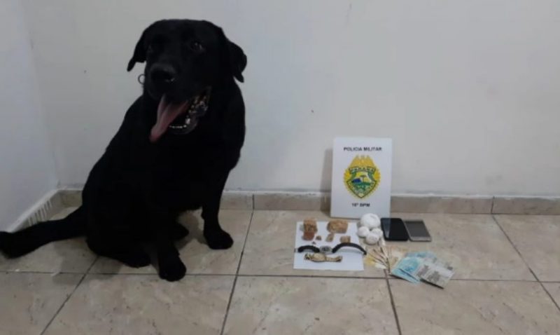  Operação da PM e PC em Manoel Ribas resulta em três pessoas presas, drogas, dinheiro e celulares apreendidos