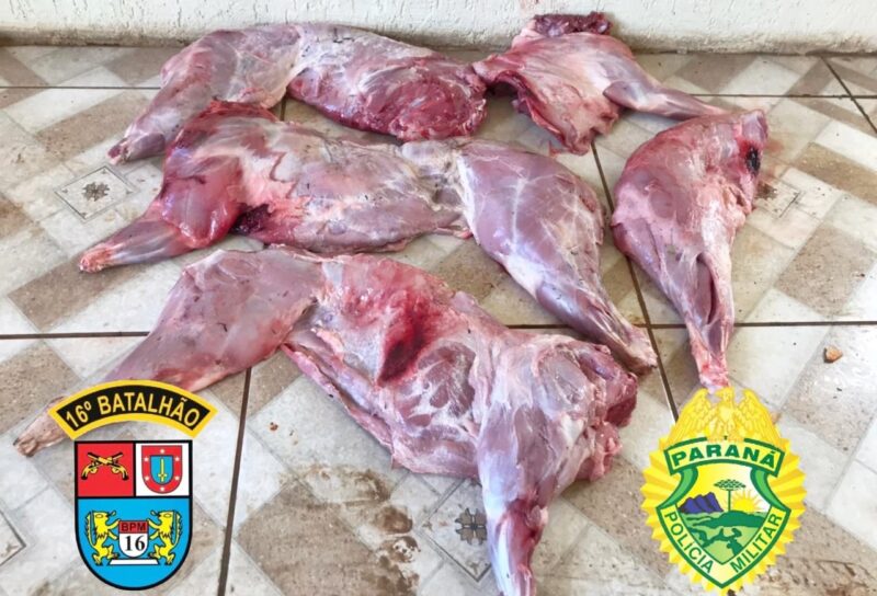  Caçadores presos quando caçavam na Reserva Ecológica em Palmital foram levados para Delegacia de Laranjeiras do Sul