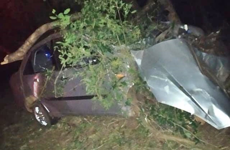  Homem morre em acidente em Nova Tebas. Saiu da pista e bateu o veículo em uma árvore