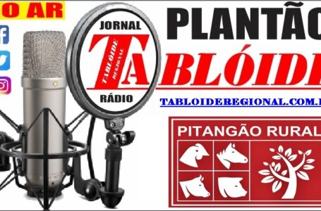 Mandado de prisão no interior de Pitanga. Um homem de 35 anos foi entregue pela PM na Delegacia