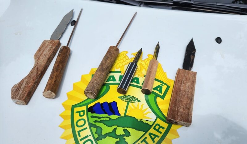  Homem tenta invadir escola com “Facas Artesanais” em Floresta, próximo de Maringá