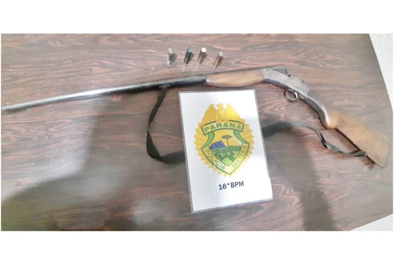  Acolhimento de duas crianças e apreensão de uma arma de fogo no interior de Turvo