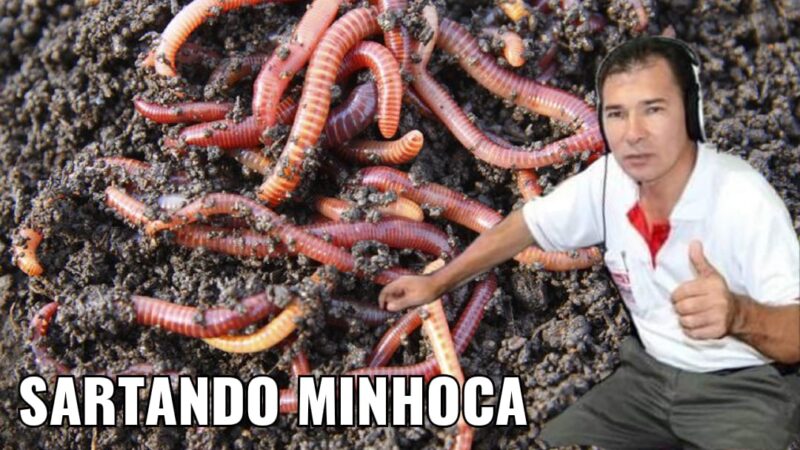  “A minhoca quase pulou em Pitanga”. Homem fica só de cueca “Depois do Gole”