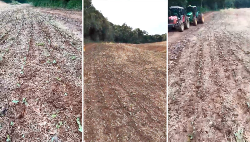  Tropeiros cavalgam por cima de lavouras no interior de Boa Ventura
