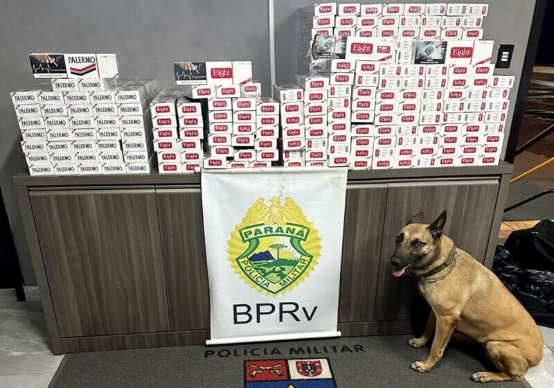  3.800 maços de cigarros do Paraguai são apreendidos pela Polícia Rodoviária em Floresta próximo de Maringá