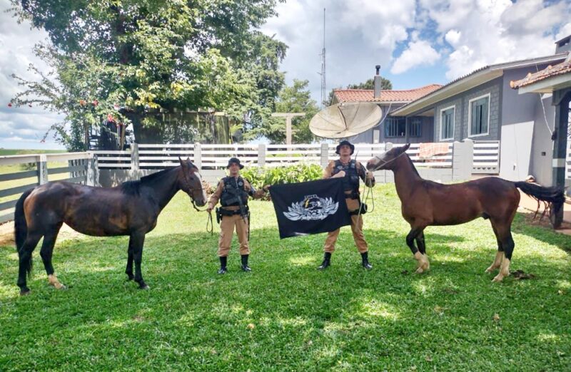  Uma Égua e um Potro furtados foram recuperados pela PM no interior de Reserva do Iguaçu
