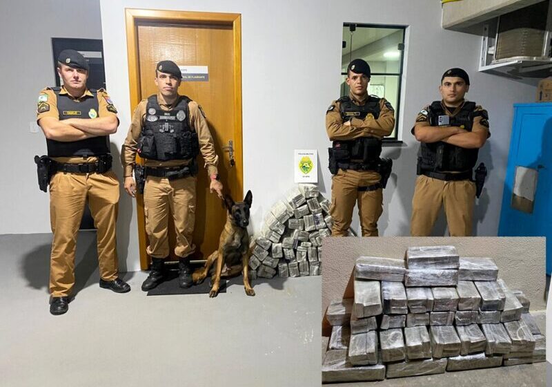  Preso com 99 Kg de maconha na Rodoviária de Prudentópolis, que ia de Foz pra São Paulo