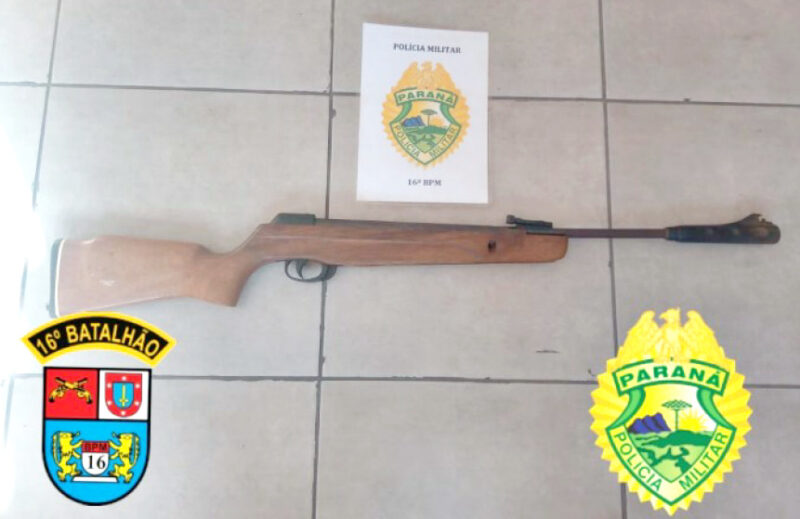  Adolescente atira contra um cachorro no interior de Santa Maria do Oeste