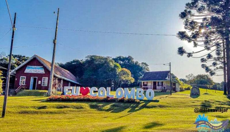  Colombo deve adotar medidas para prevenção e controle de zoonoses entre cães após ação movida pelo MPPR