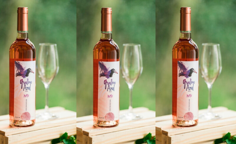  Vinícola Araucária lança campanha Outubro Rosé￼￼￼