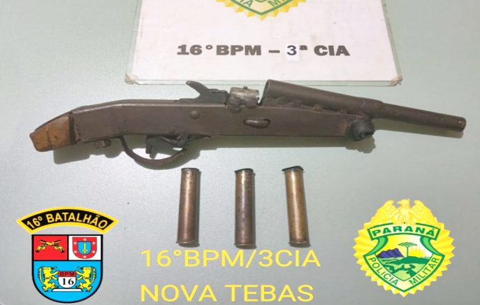  Preso com arma de fogo sem registro em Nova Tebas