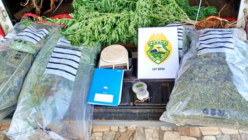  Presos no interior de Turvo/PR em laboratório clandestino de drogas e plantação de maconha