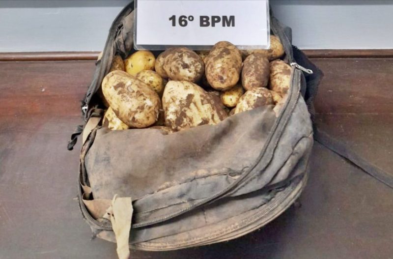  Ladrão “Saco de Batata” é preso pela PM na região de Guarapuava