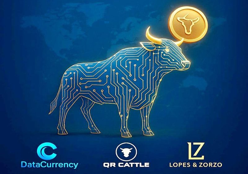  O novo mercado bilionário do agro: gado como ativo digital chega à blockchain