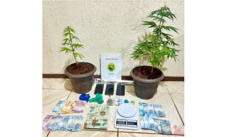  Preso em Pitanga com drogas e dois pés de maconha em ponto de venda