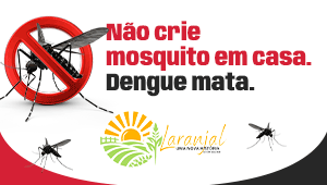 TABLOIDE REGIONAL – DENGUE – 300×170 (1)