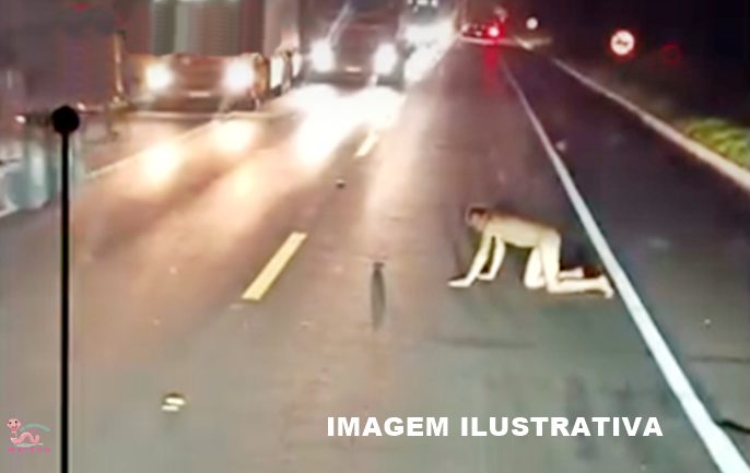  Preso em Pitanga após invadir residências “pelado” e furtar carnes e objetos