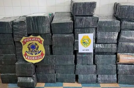 PF com apoio da PM, apreende quase uma tonelada de maconha na 277 em Candói/PR